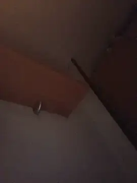 Stripchat Free Porn Cam of Hottiesophie