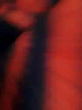 Stripchat Nude Webcam of mercymercyy