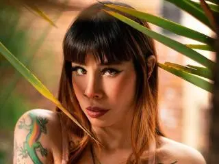 Xlovecam Adult Webcams of AriiannaHot